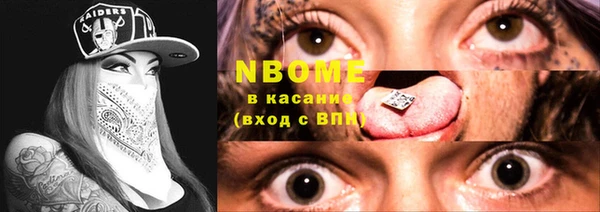 стаф Касимов