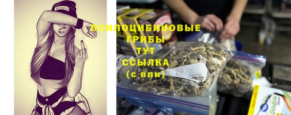 экстази Покачи