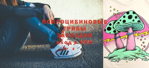 стаф Касимов