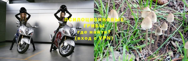 мескалин Гатчина