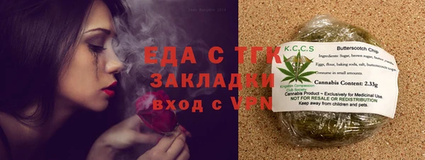 стаф Касимов