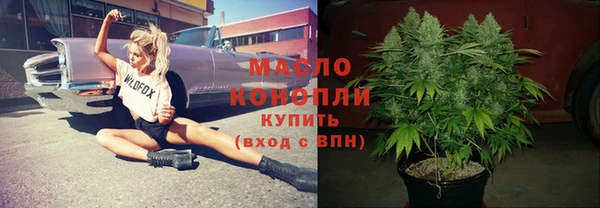 гидра Карпинск